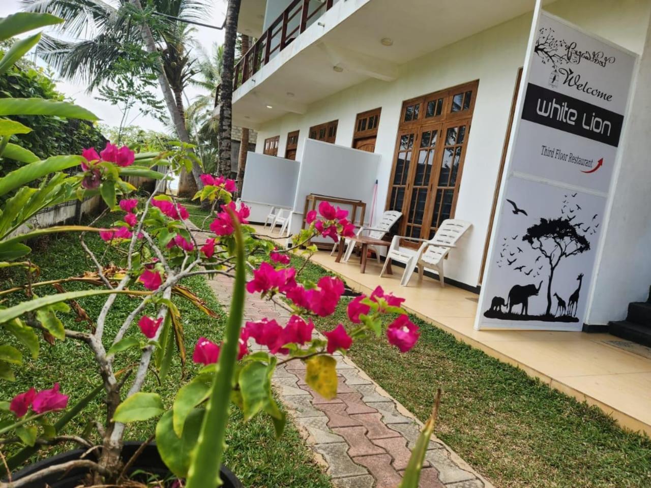 White Lion Paradise Dikwella Batigama Eksteriør bilde